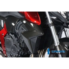 Ilmberger Carbon Ilmberger Radiator Cover (right) Carbon - Honda CB 1000 R | ilm_WKR_006_CB10R_K | euronetbike-net