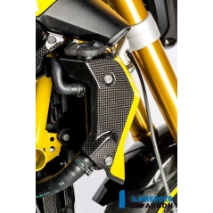 Ilmberger Carbon Ilmberger Watercooler Cover right Side Carbon - BMW R 1200 R (LC) from 2015 | ilm_WKR_009_R12RL_K | euronetbike-net