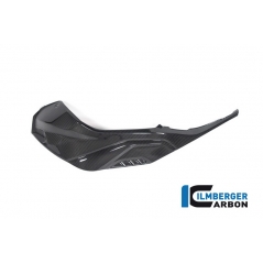 Ilmberger Carbon Ilmberger Tank Side Panel left Full Version BMW S 1000 RR Street 2019 | SDL-012-S119S-K | ilm_SDL_012_S119S_K | euronetbike-net