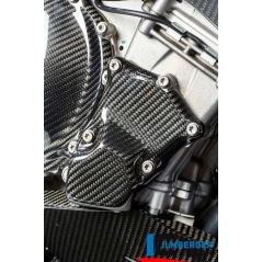 Ilmberger Carbon Ilmberger Ignition Rotor Cover Carbon - BMW S 1000 R (2014-now) / S 1000 RR Street (2010-now) / HP 4 (2012-no | ilm_ZRD_030_S100S_K | euronetbike-net