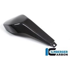 Ilmberger Carbon Ilmberger Passenger seat cover gloss Panigale V4 / V4 S | ilm_SIA_026_DPV4G_K | euronetbike-net