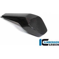 Ilmberger Carbon Ilmberger Passenger seat cover gloss Panigale V4 / V4 S | ilm_SIA_026_DPV4G_K | euronetbike-net
