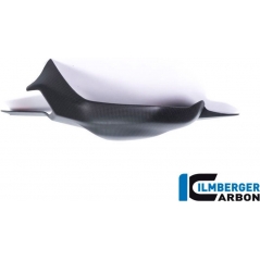 Ilmberger Carbon Ilmberger Swing arm cover matt Panigale V4 / V4 S | ilm_SSO_103_DPV4M_K | euronetbike-net