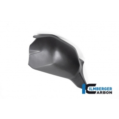 Ilmberger Carbon Ilmberger Swing Arm Cover matt V4 Streetfighter | SSO.107.SFV4M.K | ilm_SSO_107_SFV4M_K | euronetbike-net