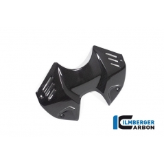 Ilmberger Carbon Ilmberger Tank Panel front gloss V4 Streetfighter | TAO.002.SFV4G.K | ilm_TAO_002_SFV4G_K | euronetbike-net