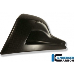 Ilmberger Carbon Ilmberger Bellypan left Side Carbon - Ducati Diavel | ilm_VEU_015_DIAVE_K | euronetbike-net