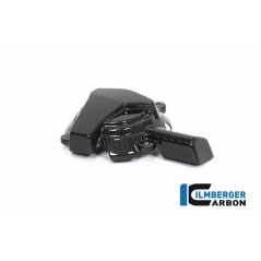 Ilmberger Carbon Ilmberger Alternator cover BMW S 1000 RR Street 2019 | LMD-001-S119S-K | ilm_LMD_001_S119S_K | euronetbike-net