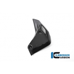 Ilmberger Carbon Ilmberger Watercooler Cover right BMW R 1250 R (LC) 2019 | WKR-002-R125R-K | ilm_WKR_002_R125R_K | euronetbike-net