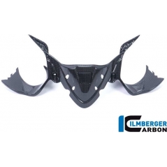 Ilmberger Carbon Ilmberger Instrument panel with GPS gloss Ducati Panigale 1299 (from 2015) | ilm_IAO_015_1299G_K | euronetbike-net