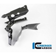 Ilmberger Carbon Ilmberger Numberplateholder Carbon - BMW R 1200 R (LC) from 2015 / BMW R 1200 RS (LC) from 2015 | ilm_NHO_018_R12RL_K | euronetbike-net
