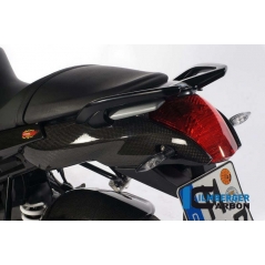 Ilmberger Carbon Ilmberger Rear Light Cover Carbon - BMW R 1200 R (2011-2014) | ilm_RHO_015_R120R_K | euronetbike-net