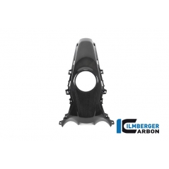 Ilmberger Carbon Ilmberger Tank Centre Panel BMW R 1250 R (LC) 2019 | TAO-008-R125R-K | ilm_TAO_008_R125R_K | euronetbike-net