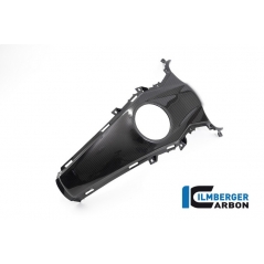 Ilmberger Carbon Ilmberger Tank Centre Panel BMW R 1250 R (LC) 2019 | TAO-008-R125R-K | ilm_TAO_008_R125R_K | euronetbike-net
