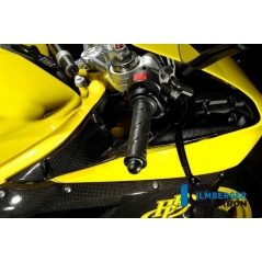 Ilmberger Carbon Ilmberger Airtube Covers pair Carbon - Ducati 848 /1098 / 1198 / S / R | ilm_VEO_006_D1098_K | euronetbike-net