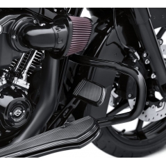 Harley-Davidson Harley-Davidson Chopped Engine Guard, Gloss Black | 49000114A | hd_49000114A | euronetbike-net