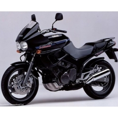 Powerbronze parts Powerbronze Standard Screens, DARK GREEN for YAMAHA ,TDM850, 96-01 | 410-Y130-012 | pb_410-Y130-012 | euronetbike-net