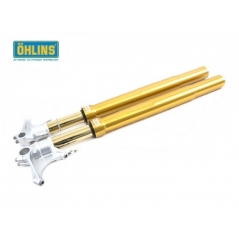 OHLINS suspension Ohlins R&T Upside Down Front Fork NIX 43MM Gold BMW S 1000 RR 2019-2022 | FGRT 232 | ohl_FGRT-232 | euronetbike-net