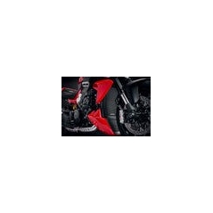 Evotech Performance Evotech Performance Ducati, EP Ducati Diavel V4 Radiator Guard (2023+) | PRN016397-01 | evp_PRN016397-01 | euronetbike-net