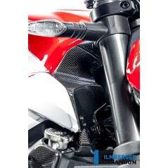 Ilmberger Carbon Ilmberger Airtube Covers right gloss Ducati Streetfighter V2 | WAR.010.V2SFG.K | ilm_WAR_010_V2SFG_K | euronetbike-net