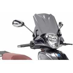 GIVI Parts Givi Specific smoked screen 29 x 45 cm (H x W) Piaggio Beverly | 5606S | givi_5606S | euronetbike-net