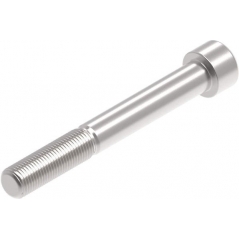 Evotech Performance Evotech Performance Evotech Performance, EP M12 x 95 x 1.25mm Pitch Caphead - 316 S/S | PRN014212 | evp_PRN014212 | euronetbike-net