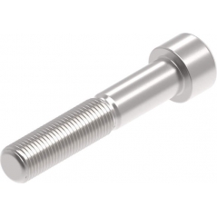Evotech Performance Evotech Performance Evotech Performance, EP M12 x 65 x 1.25mm Pitch Caphead - 316 S/S | PRN014296 | evp_PRN014296 | euronetbike-net