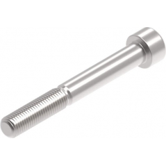 Evotech Performance Evotech Performance Evotech Performance, EP M10 x 80 x 1.25mm Pitch Caphead - 316 S/S | PRN014297 | evp_PRN014297 | euronetbike-net