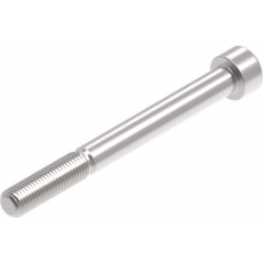 Evotech Performance Evotech Performance Evotech Performance, EP M10 x 100 x 1.25mm Pitch Caphead - 316 S/S | PRN014298 | evp_PRN014298 | euronetbike-net