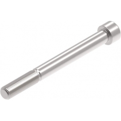 Evotech Performance Evotech Performance Evotech Performance, EP M12 x 120 x 1.25mm Pitch Caphead - 316 S/S | PRN014301 | evp_PRN014301 | euronetbike-net