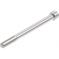 Evotech Performance Evotech Performance Evotech Performance, EP M12 x 145 x 1.25mm Pitch Caphead - 316 S/S | PRN014391 | evp_PRN014391 | euronetbike-net