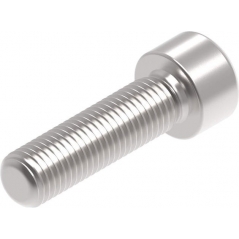 Evotech Performance Evotech Performance Evotech Performance, EP M10 x 35 x 1.25mm Pitch Caphead - 316 S/S | PRN014662 | evp_PRN014662 | euronetbike-net