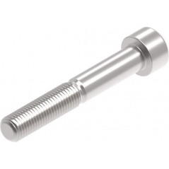 Evotech Performance Evotech Performance Evotech Performance, EP M10 x 65 x 1.25mm Pitch Caphead - 316 S/S | PRN015349 | evp_PRN015349 | euronetbike-net
