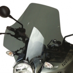 Secdem screens Secdem Wind shields BMW R 1200 R Euroscreen 06/10, Smoky-black | BB060PBFN | sec_BB060PBFN | euronetbike-net