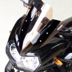 Secdem screens Secdem Screen standard KAWASAKI 750 Z Stunt 05/06, orange | BK079STO | sec_BK079STO | euronetbike-net
