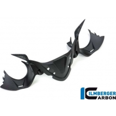 Ilmberger Carbon Ilmberger Instrument panel matt Carbon Ducati Panigale 1299 (from 2015) | ilm_IAO_106_1299M_K | euronetbike-net
