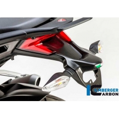 Ilmberger Carbon Ilmberger Numberplate holder matt surface Ducati MTS 1200'15 | ilm_NHO_106_D15MM_K | euronetbike-net