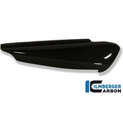 Ilmberger Carbon Ilmberger Side Panel right Carbon - Ducati Monster 900 | ilm_SEO_002_9MORE_K | euronetbike-net
