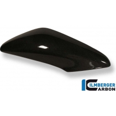 Ilmberger Carbon Ilmberger Side Panel above Watercooler (left) Carbon - Triumph Speed Triple (2011-now) | ilm_SKL_017_TRSPT_K | euronetbike-net