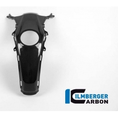 Ilmberger Carbon Ilmberger Tank Centre Panel Carbon - BMW R 1200 R (LC) from 2015 / BMW R 1200 RS (LC) from 2015 | ilm_TAO_012_R12RL_K | euronetbike-net