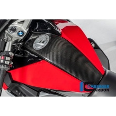 Ilmberger Carbon Ilmberger Tank Centre Panel - BMW K 1600 GT / K 1600 GTL / K 1600 Bagger | ilm_TAO_162_K1600_K | euronetbike-net