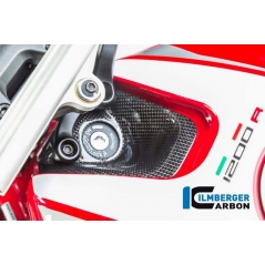 Ilmberger Carbon Ilmberger Ignition Switch Cover Ducati Monster 1200R gloss | ilm_TDA_001_MR12G_K | euronetbike-net