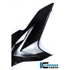 Ilmberger Carbon Ilmberger Side Fairing right Side Carbon - BMW S 1000 R | ilm_VER_209_S100N_K | euronetbike-net