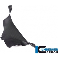 Ilmberger Carbon Ilmberger Air tube cover left matt Panigale V4 / V4 S | WAL.128.DPV4M.K | ilm_WAL_128_DPV4M_K | euronetbike-net