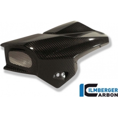 Ilmberger Carbon Ilmberger AIRTUBE LEFT CARBON - BMW K 1300 R (2008-NOW) | ilm_WKL_003_K130R_K | euronetbike-net