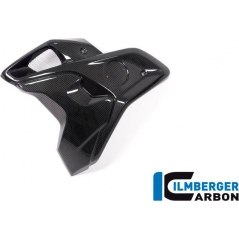Ilmberger Carbon Ilmberger Airtube left incl. Flap (2 pieces) BMW R 1250 GS | WKL.004.GS19T.K | ilm_WKL_004_GS19T_K | euronetbike-net