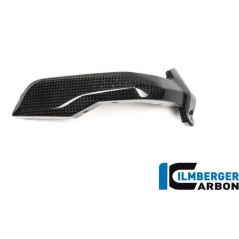 Ilmberger Carbon Ilmberger Spark Plug Cover right Side Carbon - BMW R 1200 GS (LC) from 2013 to 2015 | ilm_ZKR_002_LCBOX_K | euronetbike-net
