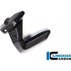 Ilmberger Carbon Ilmberger Spark Plug Cover right Side BMW R 1250 GS | ZKR.013.GS19T.K | ilm_ZKR_013_GS19T_K | euronetbike-net