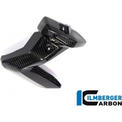 Ilmberger Carbon Ilmberger Spark Plug Cover right Side BMW R 1250 GS | ZKR.013.GS19T.K | ilm_ZKR_013_GS19T_K | euronetbike-net