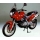 Powerbronze parts Powerbronze Standard Screens, DARK GREEN for BMW ,F650 FUNDURO ,93-98 | 410-B105-012 | pb_410-B105-012 | euronetbike-net