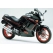 Powerbronze parts Powerbronze Standard Screens, LIGHT TINT for KAWASAKI ,GPX250, 88-96 | 410-K101-001 | pb_410-K101-001 | euronetbike-net